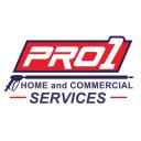 PRO1 Power Washing logo