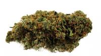 BUY JACK HERER WEED ONLINE image 1