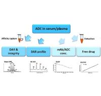 adc assessment process image 1