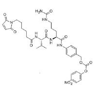 mc val cit pabc pnp image 1