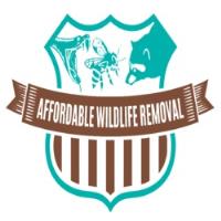 Affordable Wildlife Removal image 1