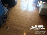 SUNBIRD CARPET CLEANING PATERSON image 9