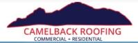 Metal Roofing - Roof Panels | Camelback image 1