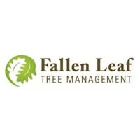 Fallen Leaf Tree Management image 2