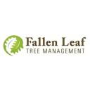 Fallen Leaf Tree Management logo