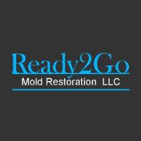 Ready 2 Go Mold Restoration  LLC image 1