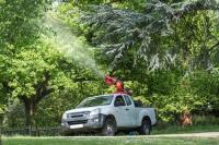 Top Tree Service Co. image 2