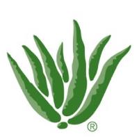 Aloe Up image 1