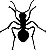 Scottsdale Pest Control Pros image 7