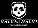 ACTUAL FACTUAL INC logo