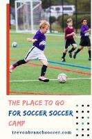 Youth Soccer Training: The Trevon Branch Academy image 6