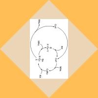 boro-amino acids image 1