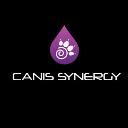 Canis Synergy logo