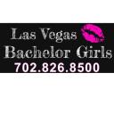 Las Vegas Bachelor Strippers logo
