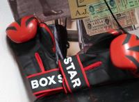 Boxstar Training image 7