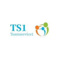 TS1 Insurance image 1
