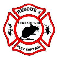 Rescue 1 Pest & Termite Control image 1