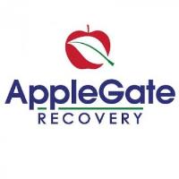 AppleGate Recovery Huber Heights image 1