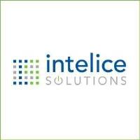 Intelice Solutions image 1