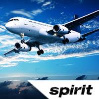 Spirit Airlines image 1