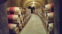 Napa Valley Wine Tourss image 6