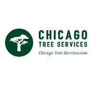 Chicago Tree Services image 7