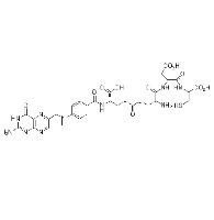 Etarfolatide image 1