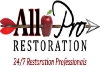 All Pro Restoration image 1