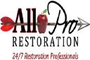All Pro Restoration logo
