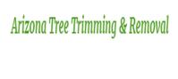 Arizona Tree Trimming And Removal Service image 1