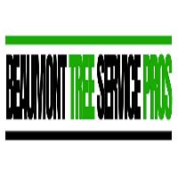 Beaumont Tree Service Pros image 2