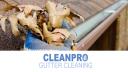 Clean Pro Gutter Cleaning Lake Oswego logo