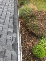 Clean Pro Gutter Cleaning Tigard image 3