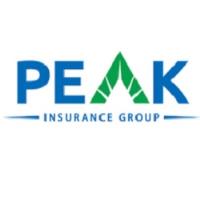 Peak Insurance Group image 1