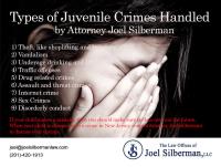 The Law Offices of Joel Silberman, LLC image 29
