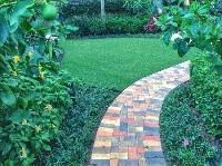 Gator Turf - Boca Raton image 3