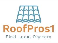 Roof Pros1 image 1