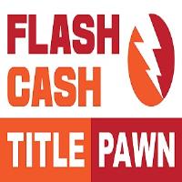 Flash Cash image 1