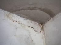 A&L water restoration and mold remediation image 4