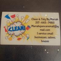 Clean and Tidy by Mariah L.L.C. image 1