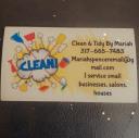 Clean and Tidy by Mariah L.L.C. logo