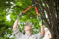 Merced Tree Services image 6