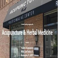 Holistic Acupuncture image 1
