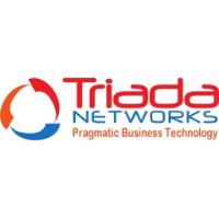 Cybersecurity IT - Triada Networks image 1