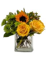 Cook's Florist & Flower Delivery image 1