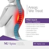 NU-Spine image 4