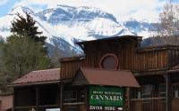 Rocky Mountain Cannabis Corporation -Craig image 5