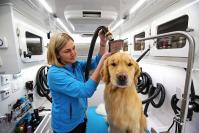 Ventura County Mobile Dog Grooming image 4