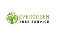 Evergreen Tree Service image 9