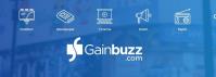 Gainbuzz Inc image 2